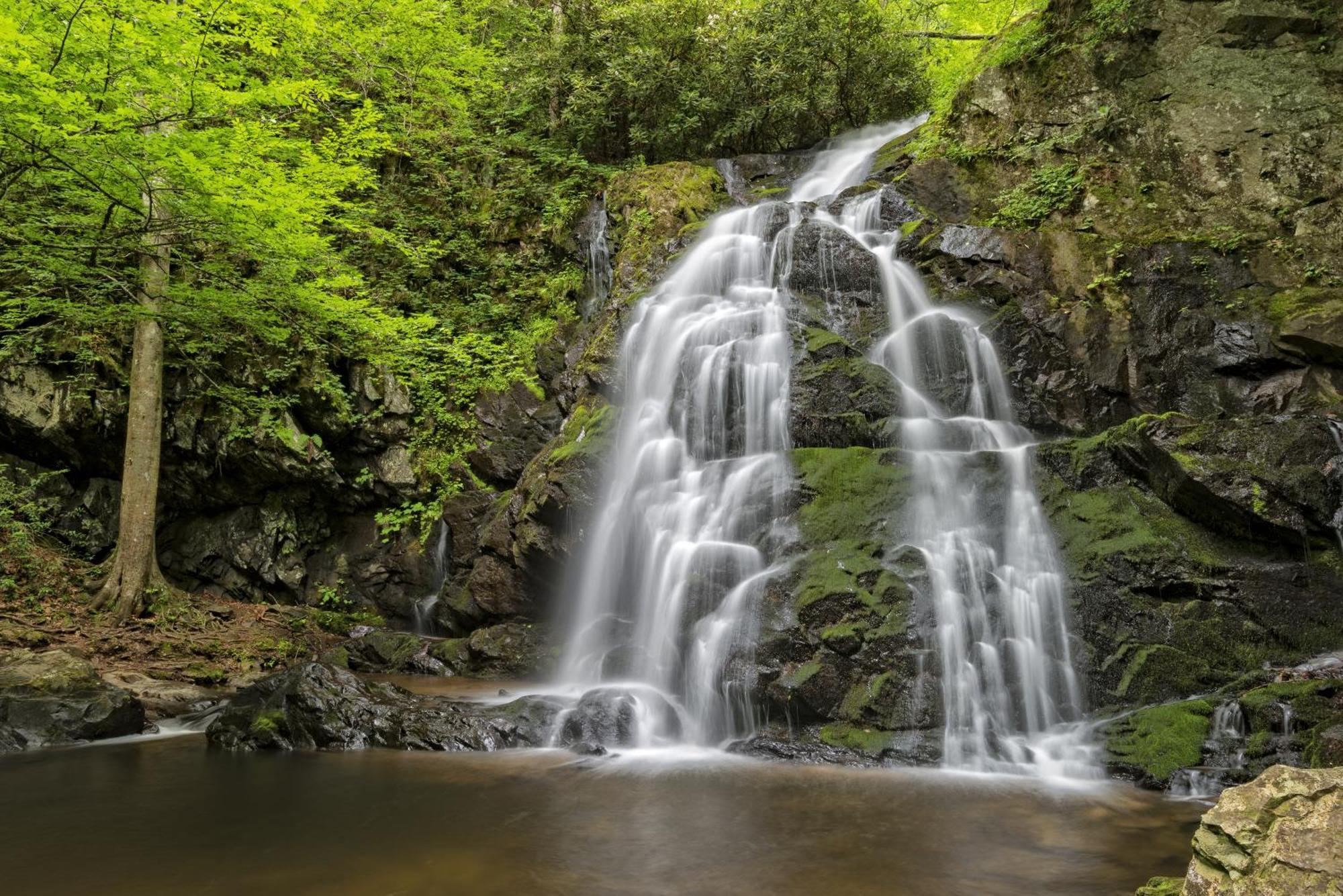 Hemlock Hollow, Pool Access, 1089 Free Tickets Each Paid Day, Dollywood And More Sevierville Εξωτερικό φωτογραφία