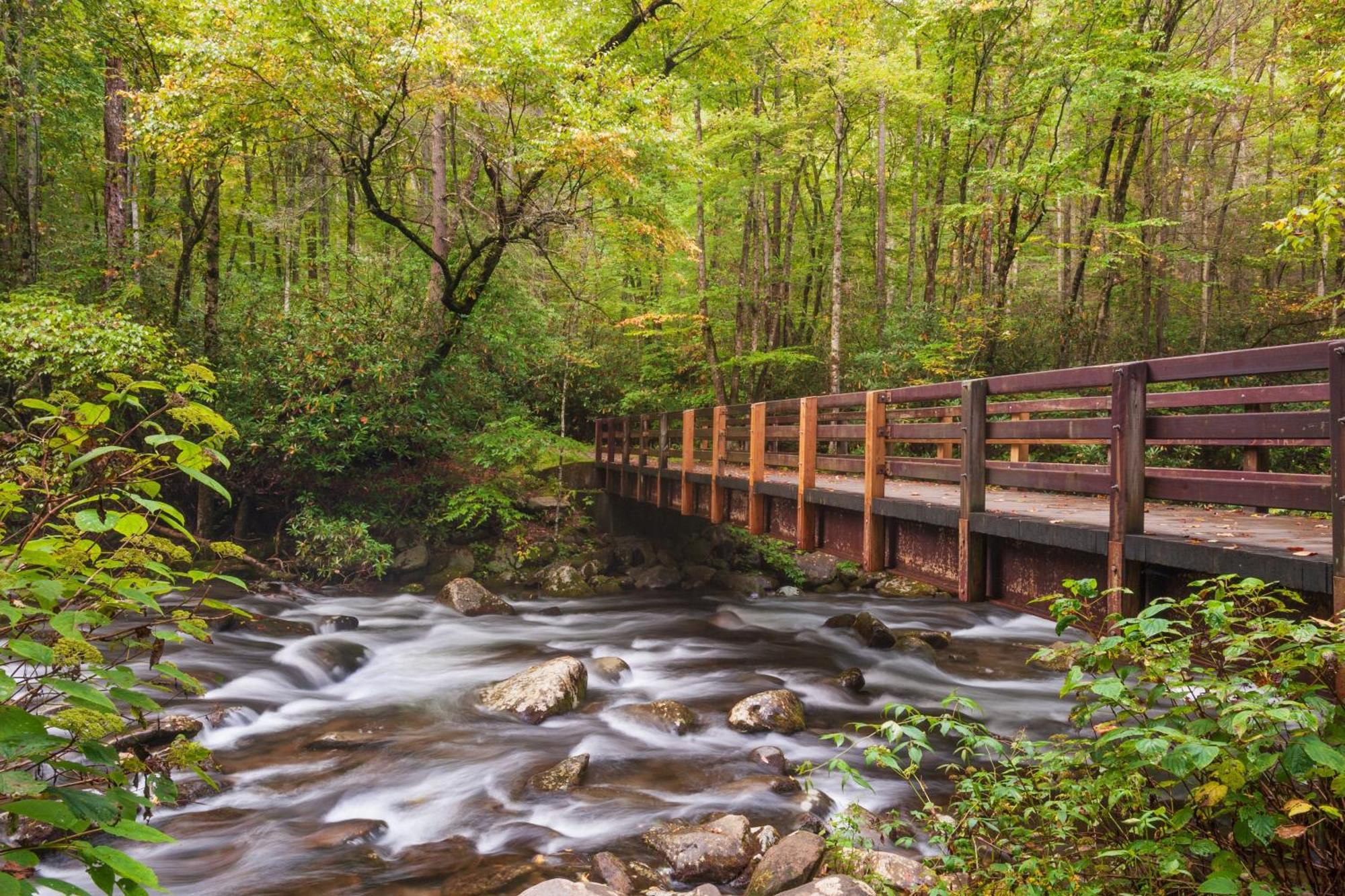Hemlock Hollow, Pool Access, 1089 Free Tickets Each Paid Day, Dollywood And More Sevierville Εξωτερικό φωτογραφία